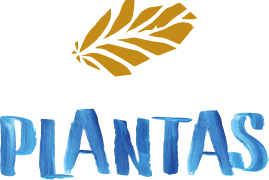 Plantas